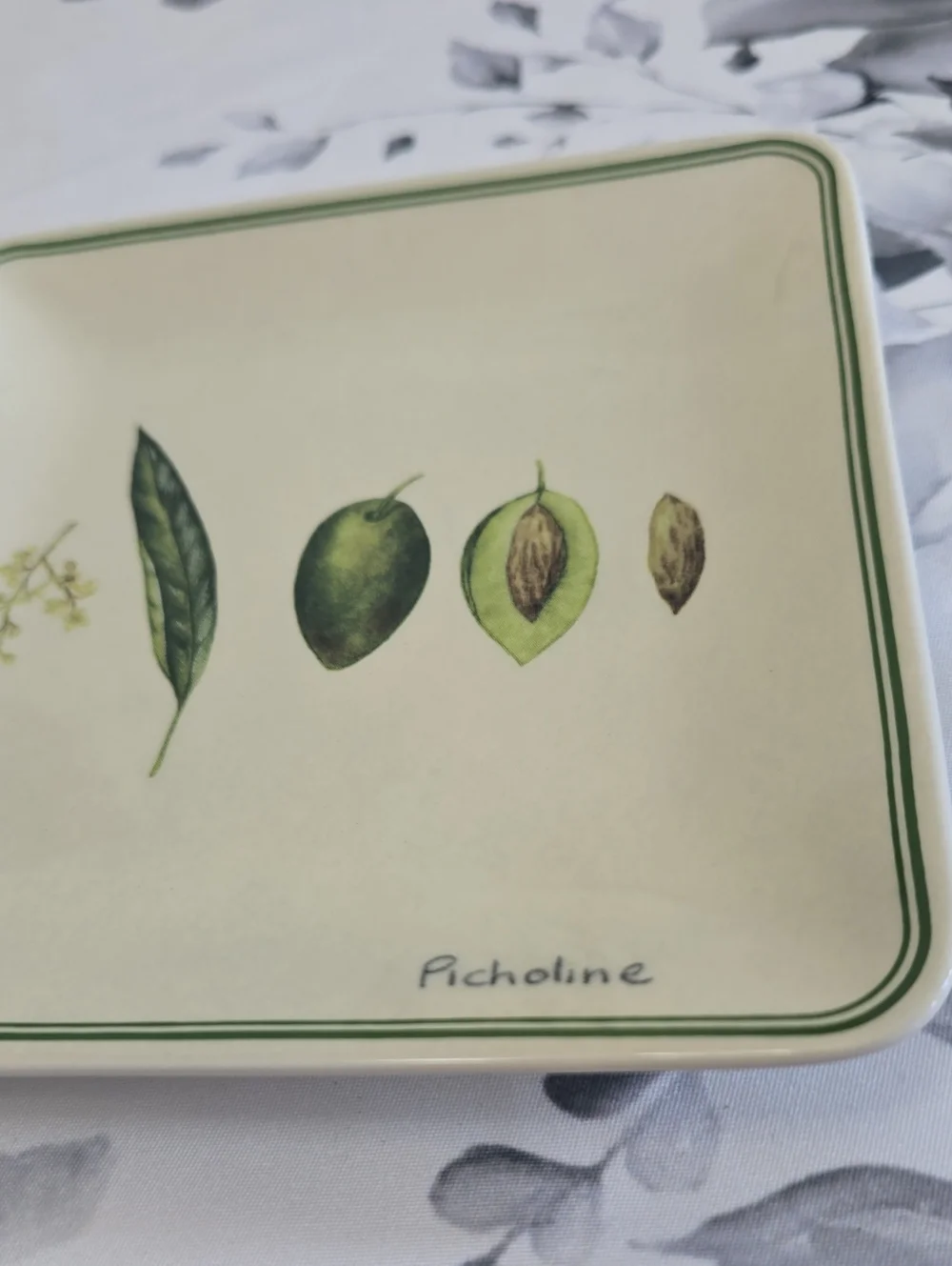 Williams Sonoma Set Of 3 Botanical Olive Dessert Plates & Dipping Bowl